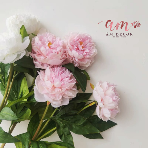  CÀNH MẪU ĐƠN THÁI 2B1N 