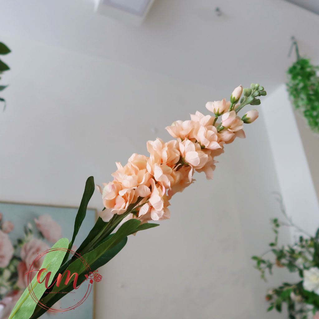 PHI YẾN 1 NHÁNH (Cam)