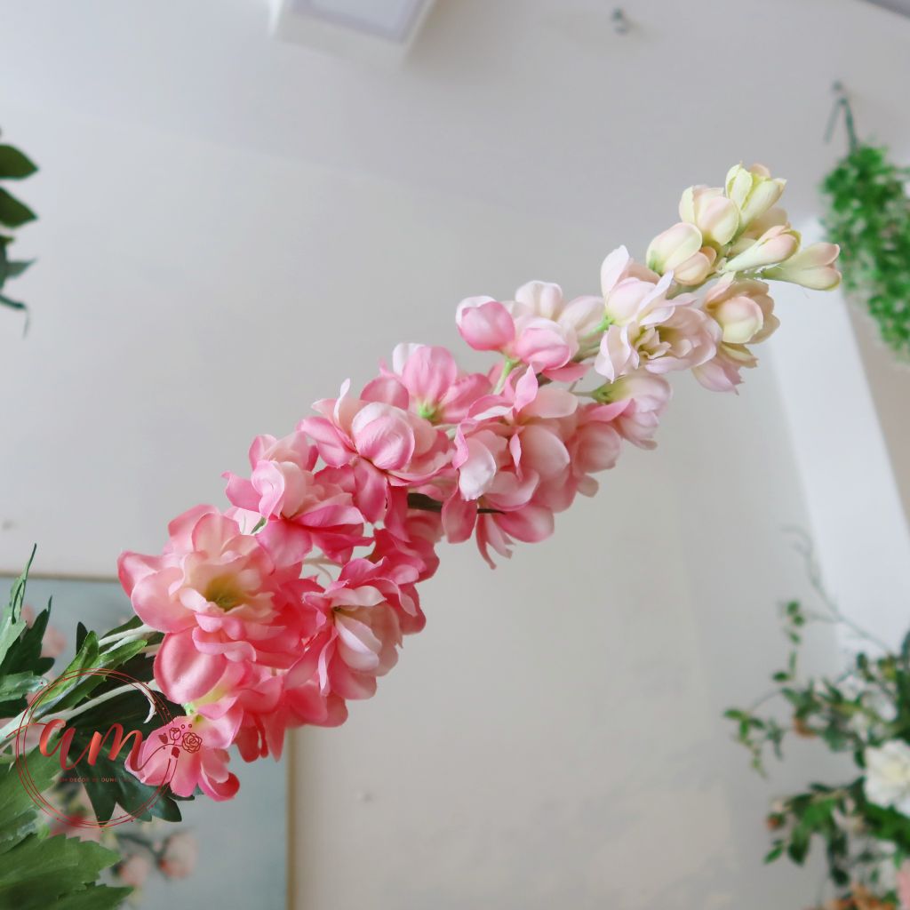 ZPHI YẾN HÀ LAN (Hồng Nhạt)