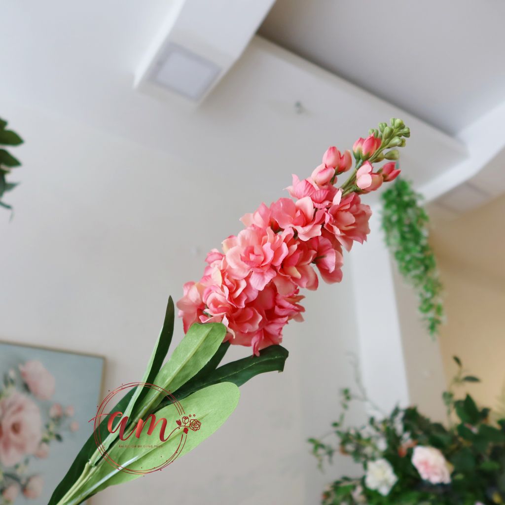 PHI YẾN 1 NHÁNH (Hồng)