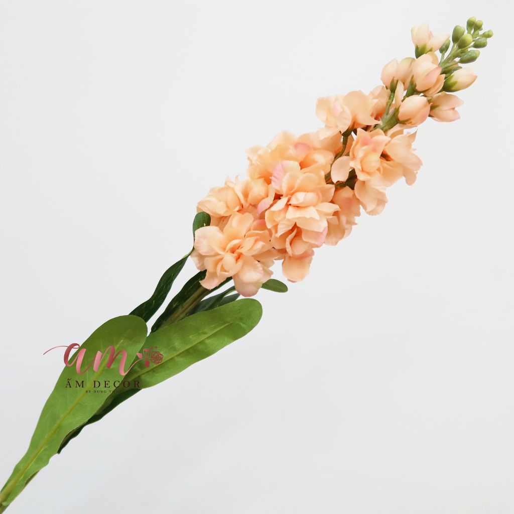 PHI YẾN 1 NHÁNH (Cam)