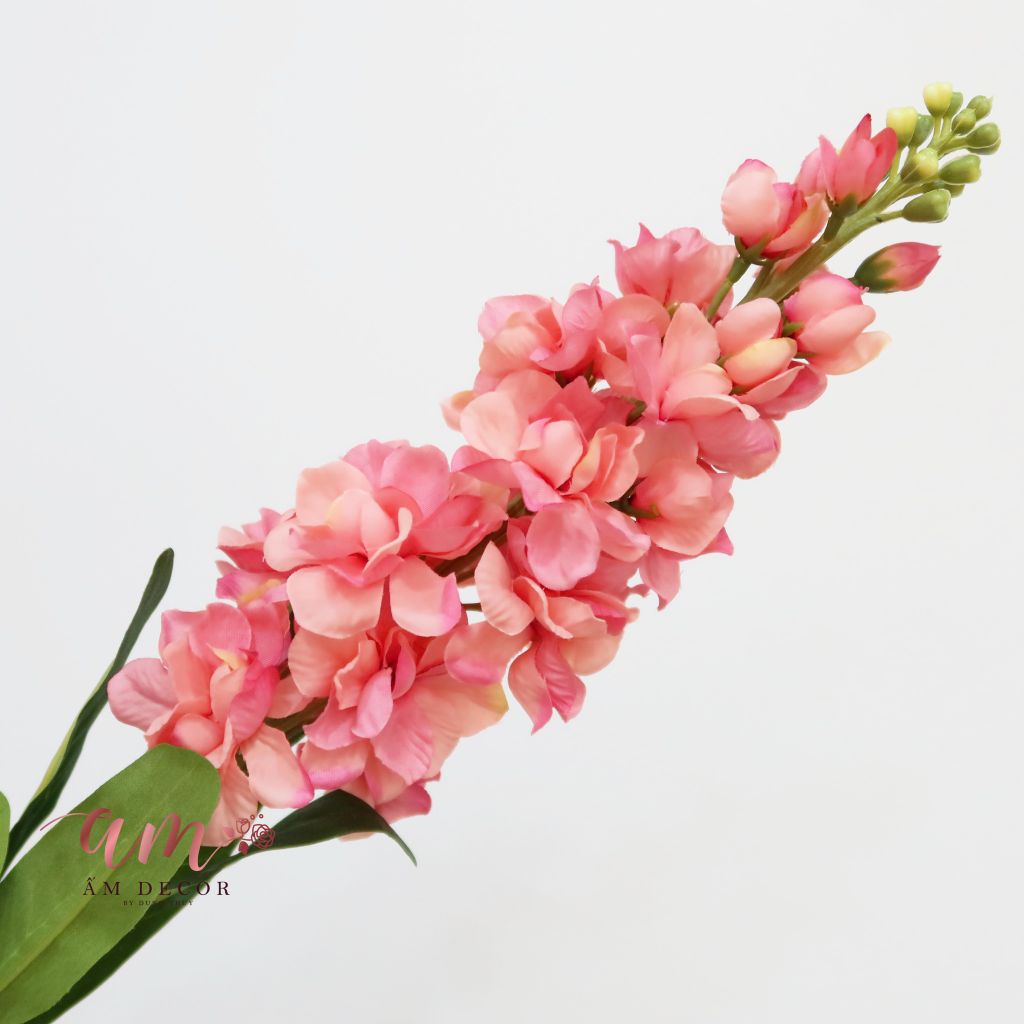 PHI YẾN 1 NHÁNH (Hồng)