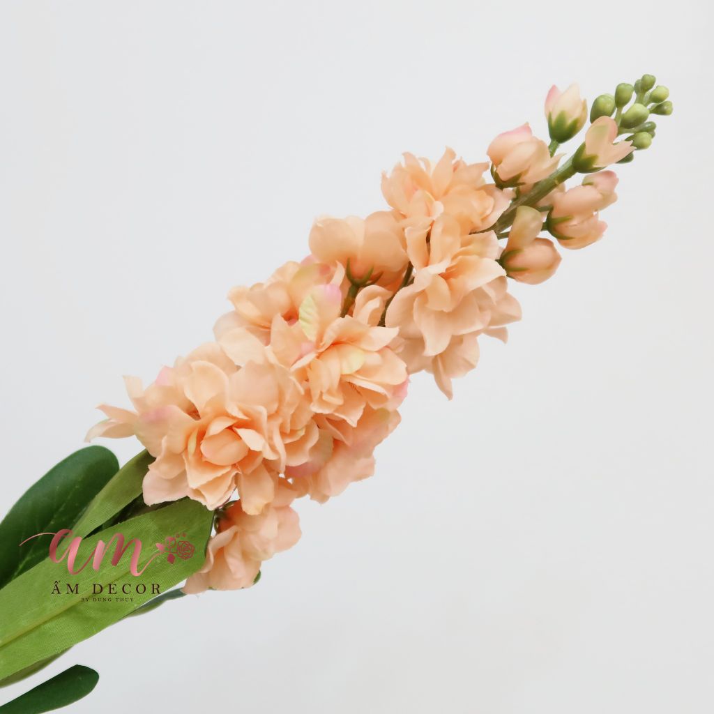 PHI YẾN 1 NHÁNH (Cam)