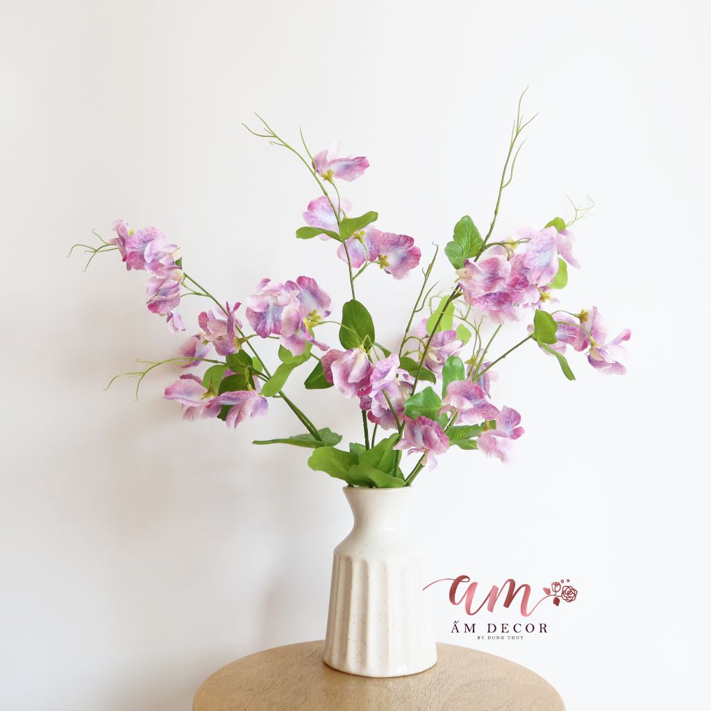 ZHOA ĐẬU THƠM CÓ LÁ (Tím)