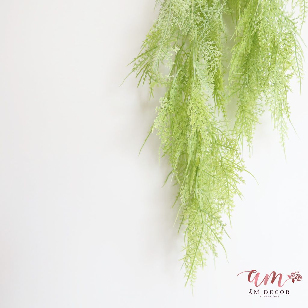 DÂY DƯƠNG XỈ LEO (Xanh Lơ)