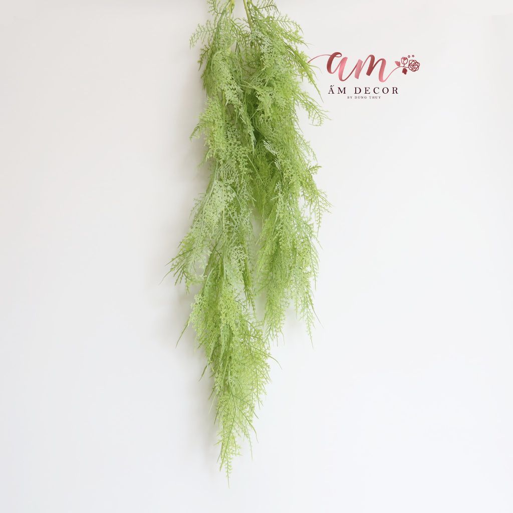 DÂY DƯƠNG XỈ LEO (Xanh Lơ)