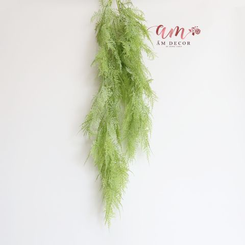  DÂY DƯƠNG XỈ LEO (Xanh Lơ) 