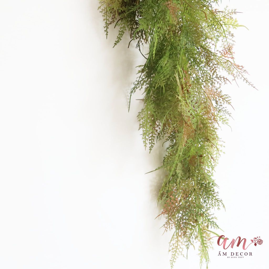 DƯƠNG XỈ LEO ( Xanh Đậm )