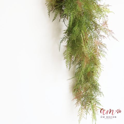  DƯƠNG XỈ LEO ( Xanh Đậm ) 