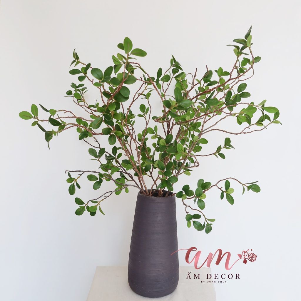 Ấm Plant House - LÁ MILAN