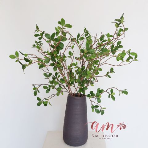  Ấm Plant House - LÁ MILAN 