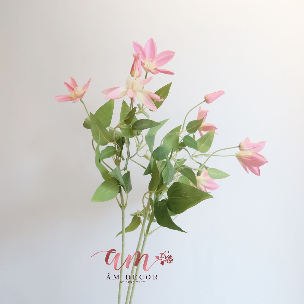 ZSEN 3 NHÁNH (Hồng)