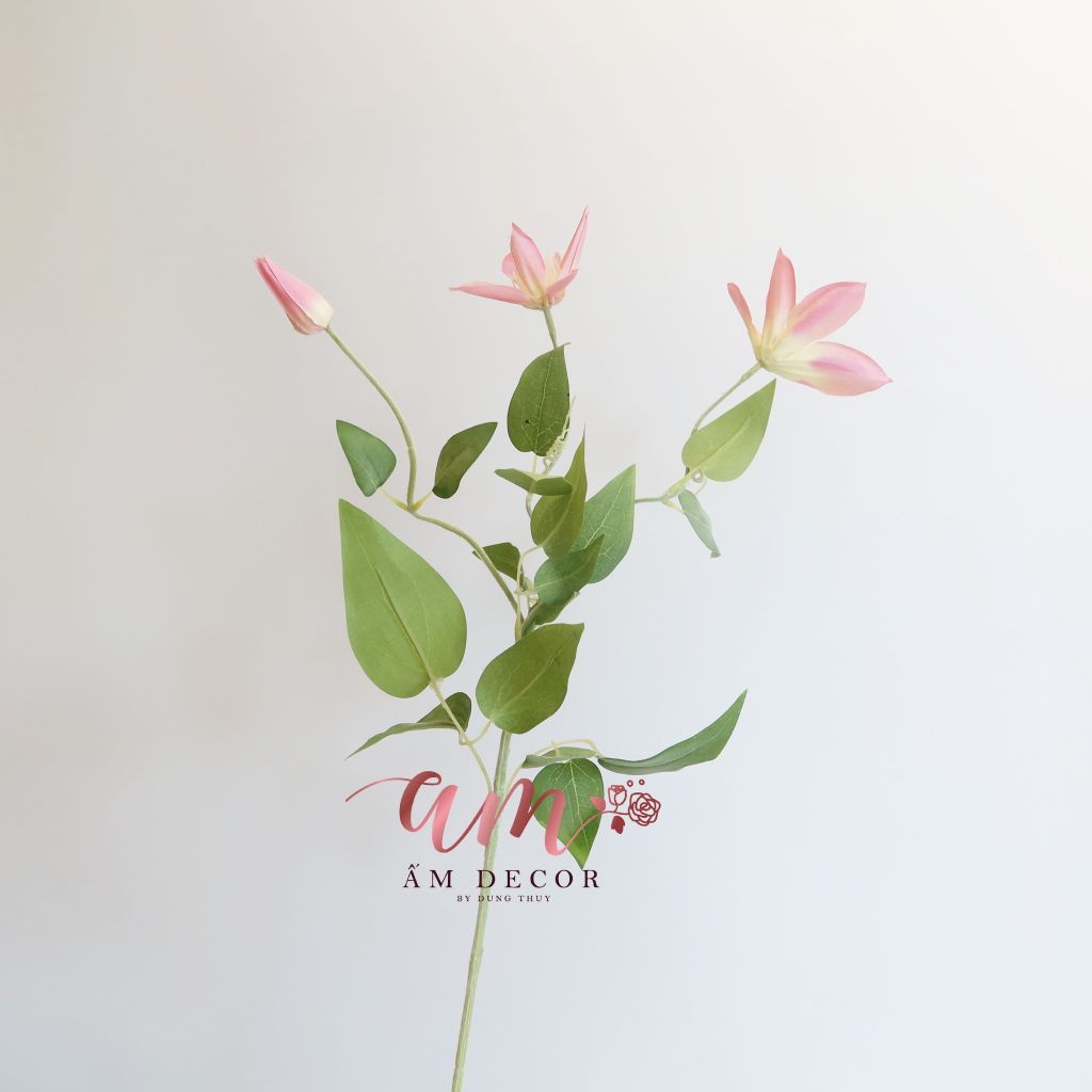 ZSEN 3 NHÁNH (Hồng)