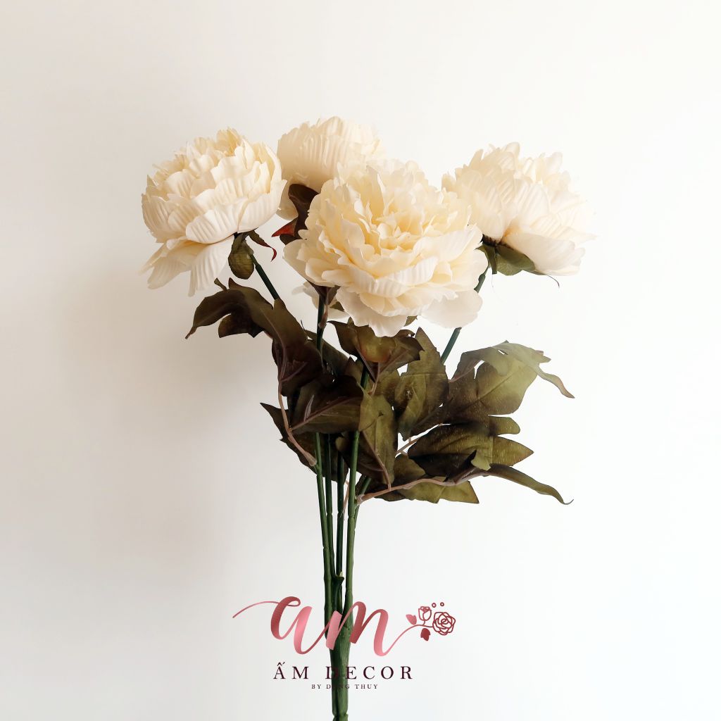 ZCHÙM PEONY QUEEN (Kem)