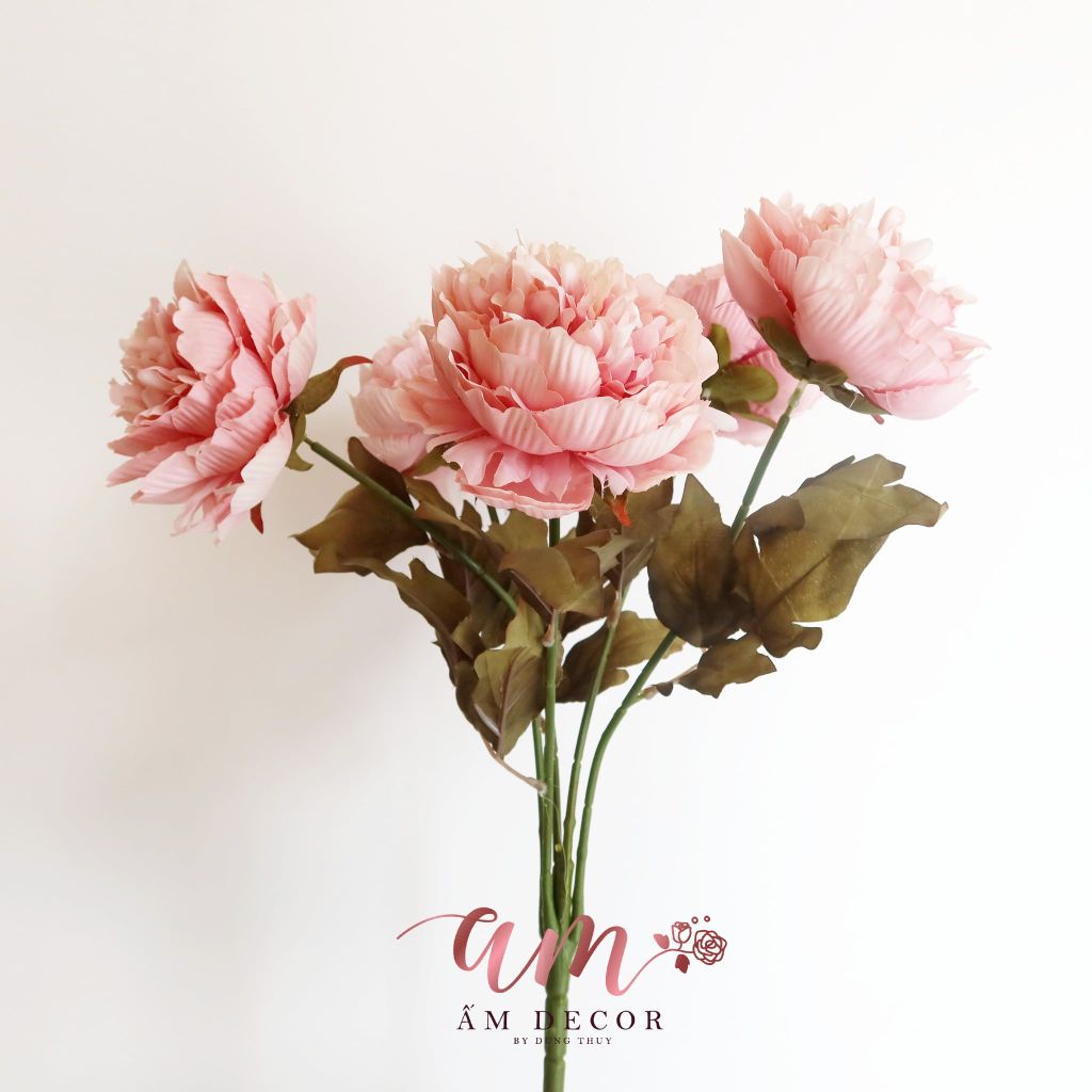 ZCHÙM PEONY QUEEN (Hồng)