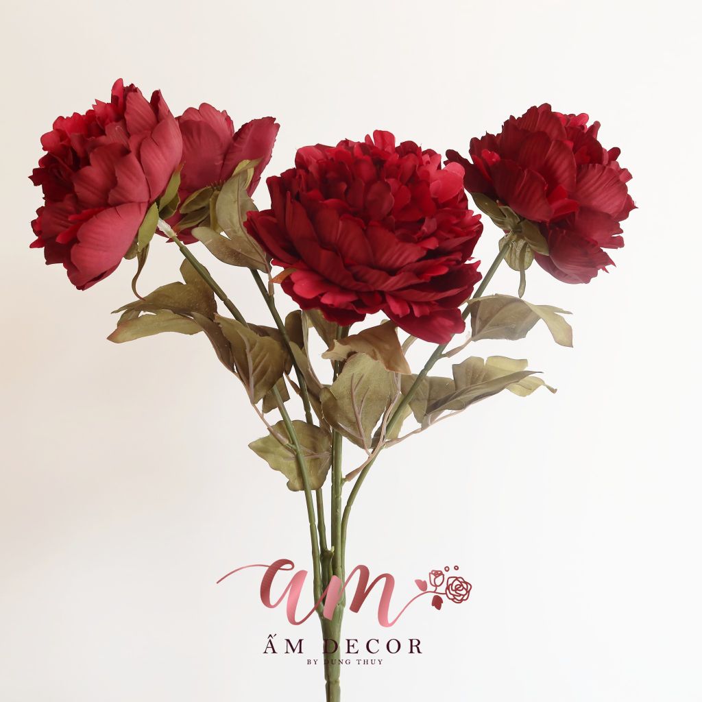 ZCHÙM PEONY QUEEN (Đỏ)