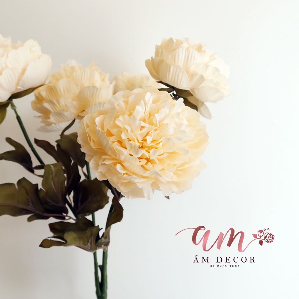 ZCHÙM PEONY QUEEN (Kem)