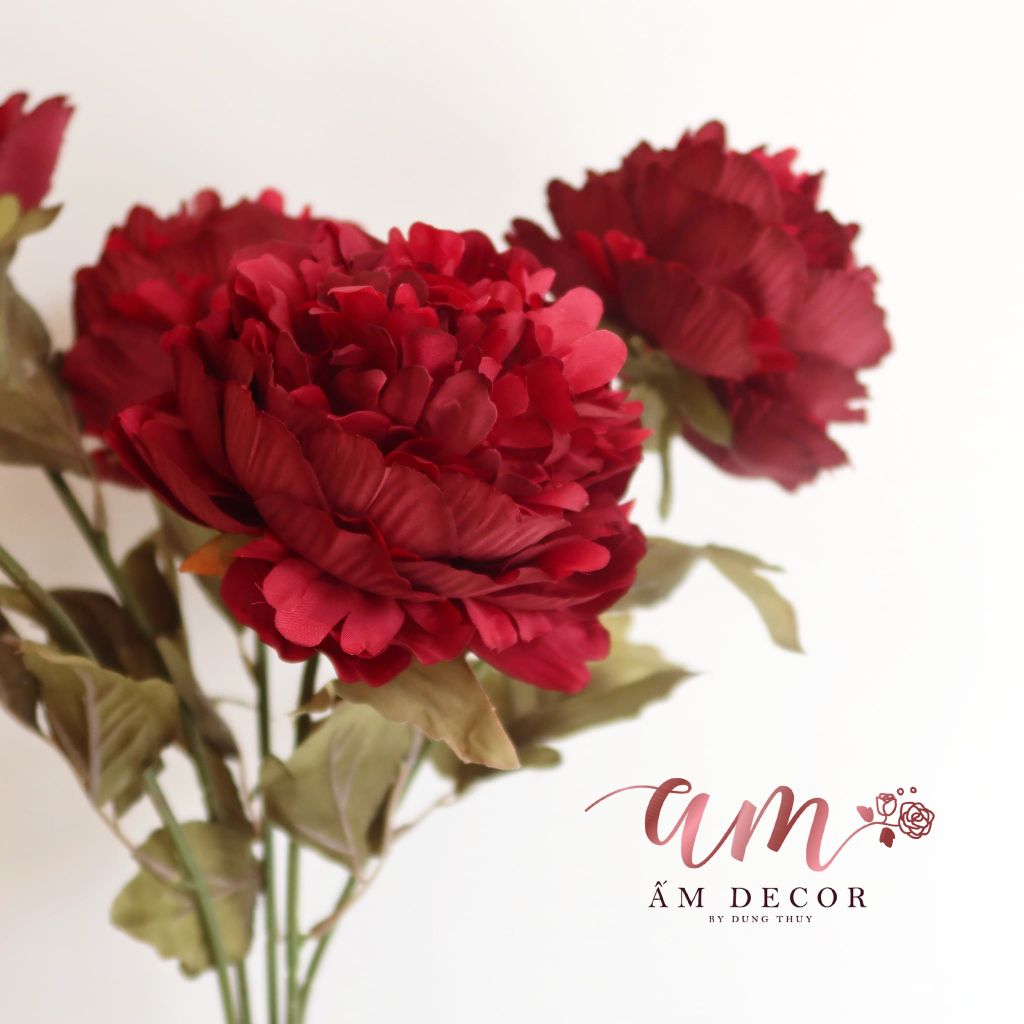 ZCHÙM PEONY QUEEN (Đỏ)