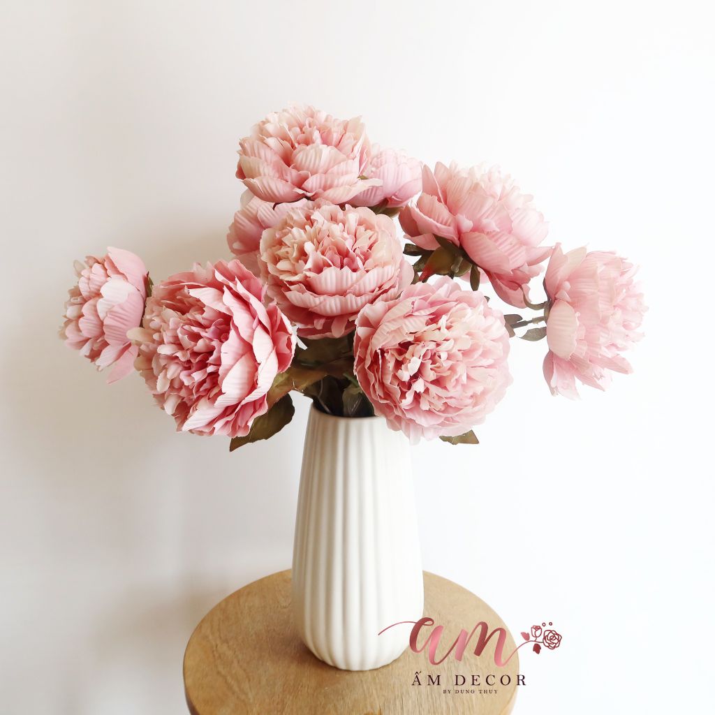 ZCHÙM PEONY QUEEN (Hồng)