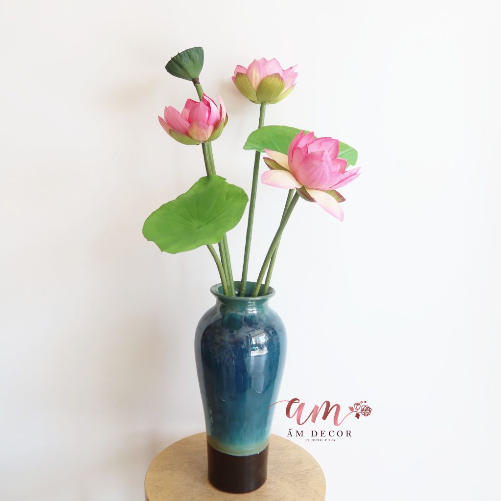 ZHOA SEN HỒNG THÁI