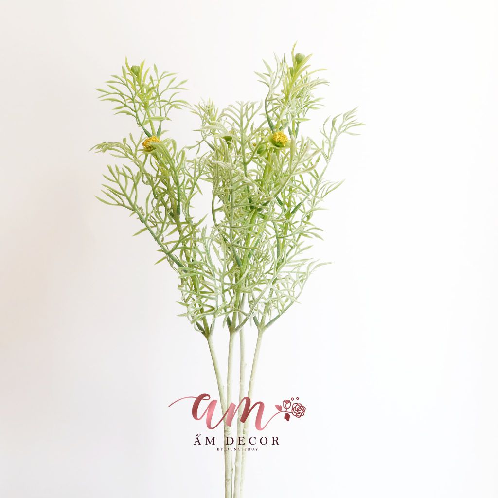 LÁ KIM ĐIỂM VÀNG PHỦ NHUNG