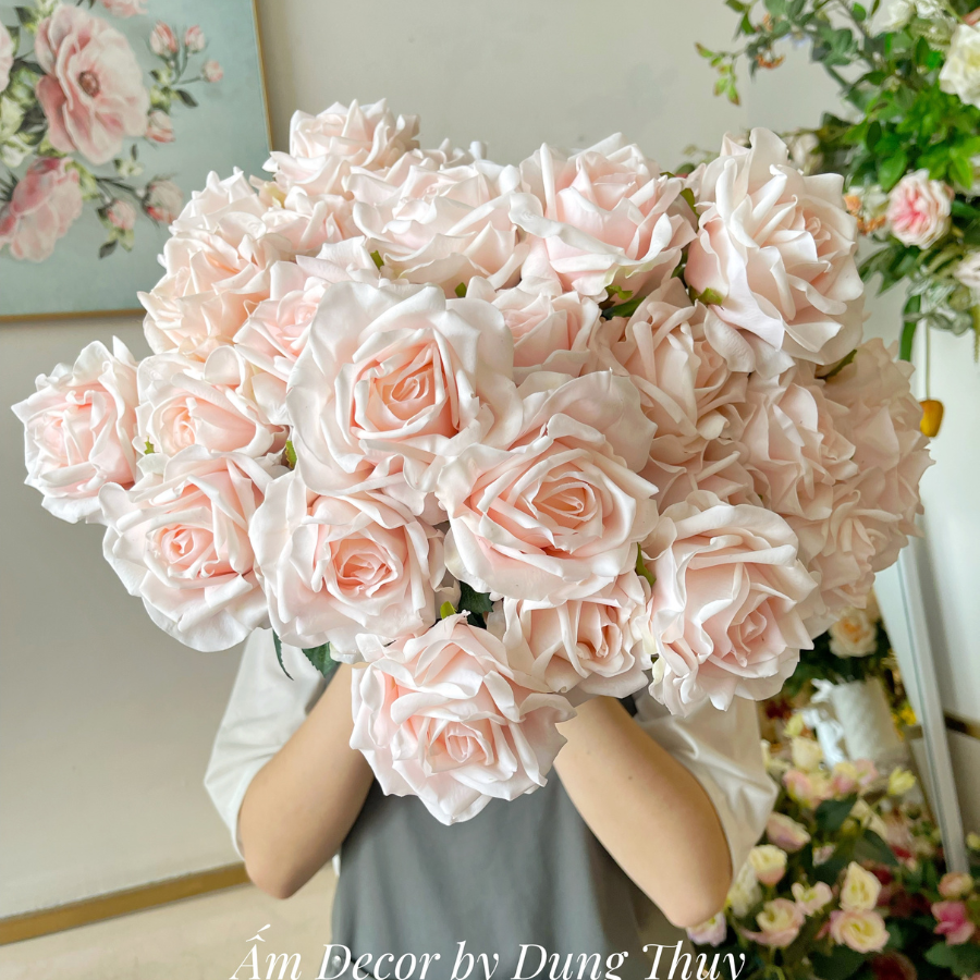 HOA HỒNG NHUNG (Hồng Nhạt)