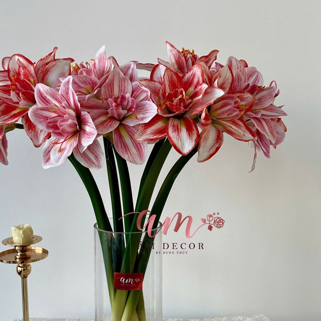 ZHUỆ KHỞI SẮC DUYÊN