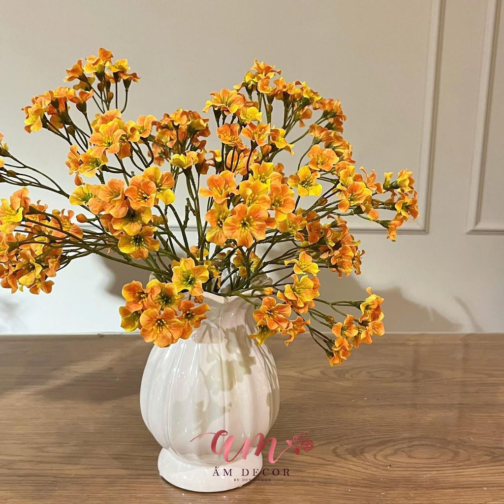 ZBÌNH HOA PHÚ QUÝ