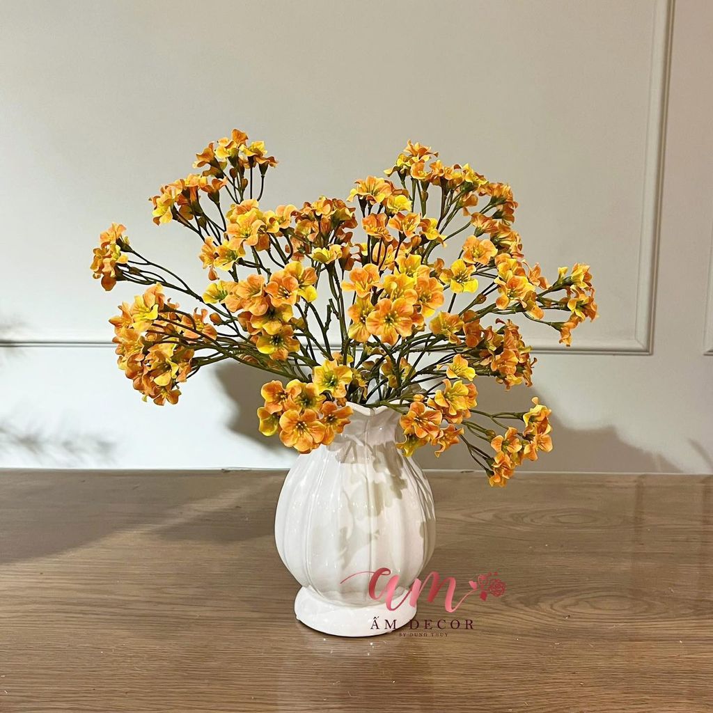 ZBÌNH HOA PHÚ QUÝ