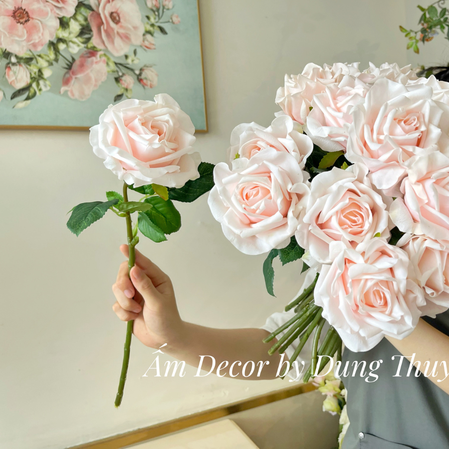 HOA HỒNG NHUNG (Hồng Nhạt)