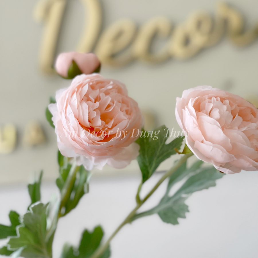 MẪU ĐƠN BÚP (Hồng Cam)