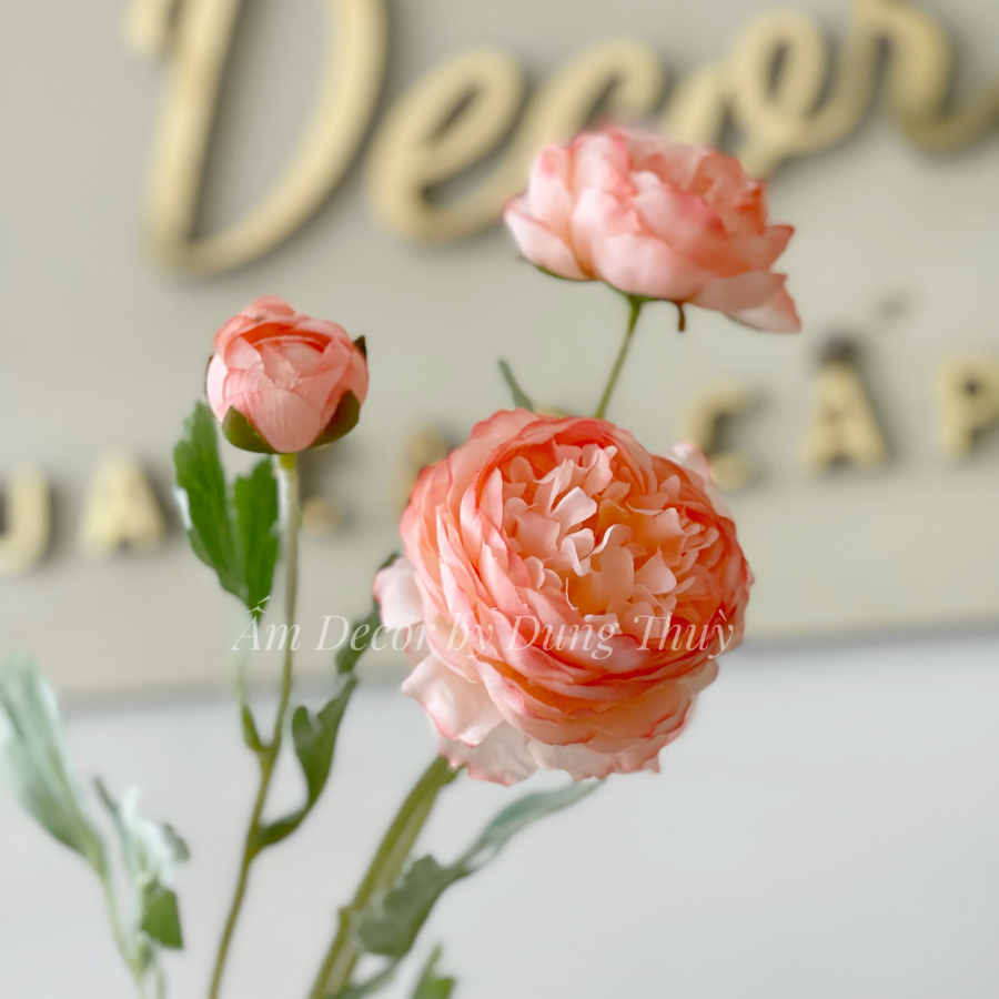 MẪU ĐƠN BÚP (Cam Đào)