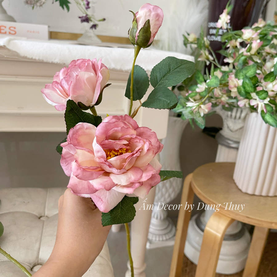 MẪU ĐƠN RETRO MÙA THU