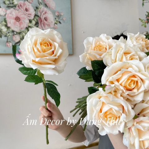  HOA HỒNG NHUNG (Vàng Kem) 