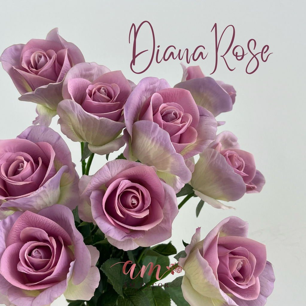 HOA HỒNG DIANA (TÍM)