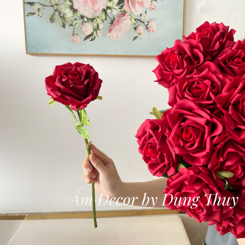  HOA HỒNG NHUNG (Đỏ) 