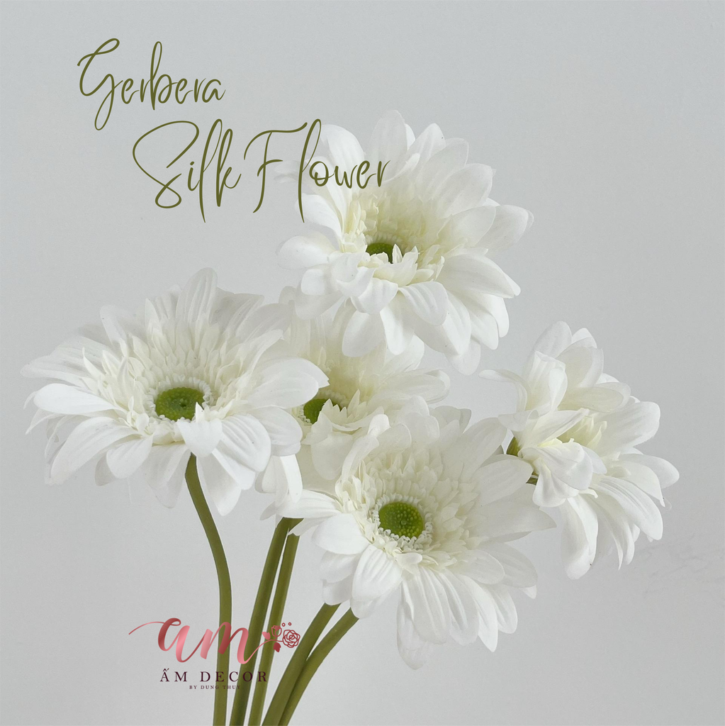 HOA ĐỒNG TIỀN (TRẮNG)