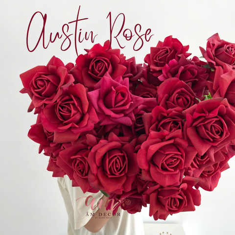  AUSTIN HOA HỒNG (Đỏ) 