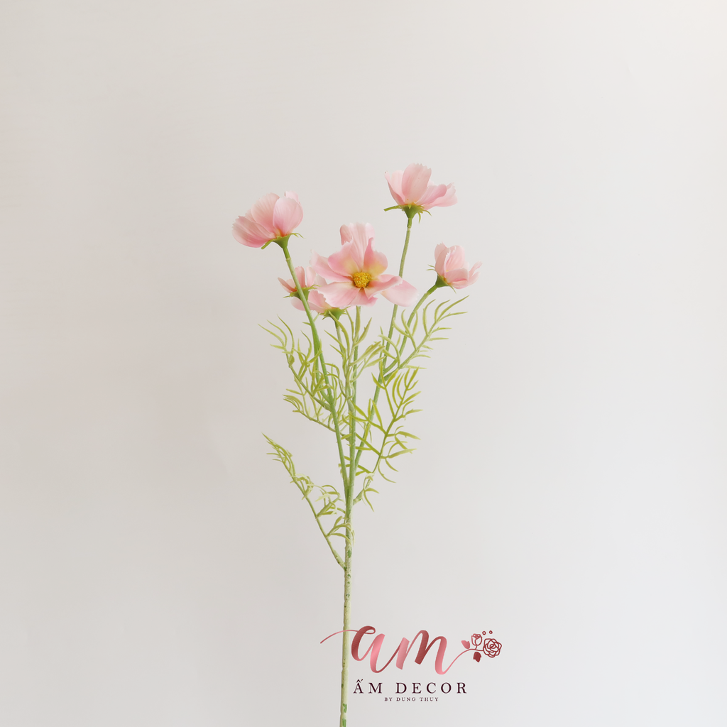 HOA CÁNH BƯỚM (Hồng)