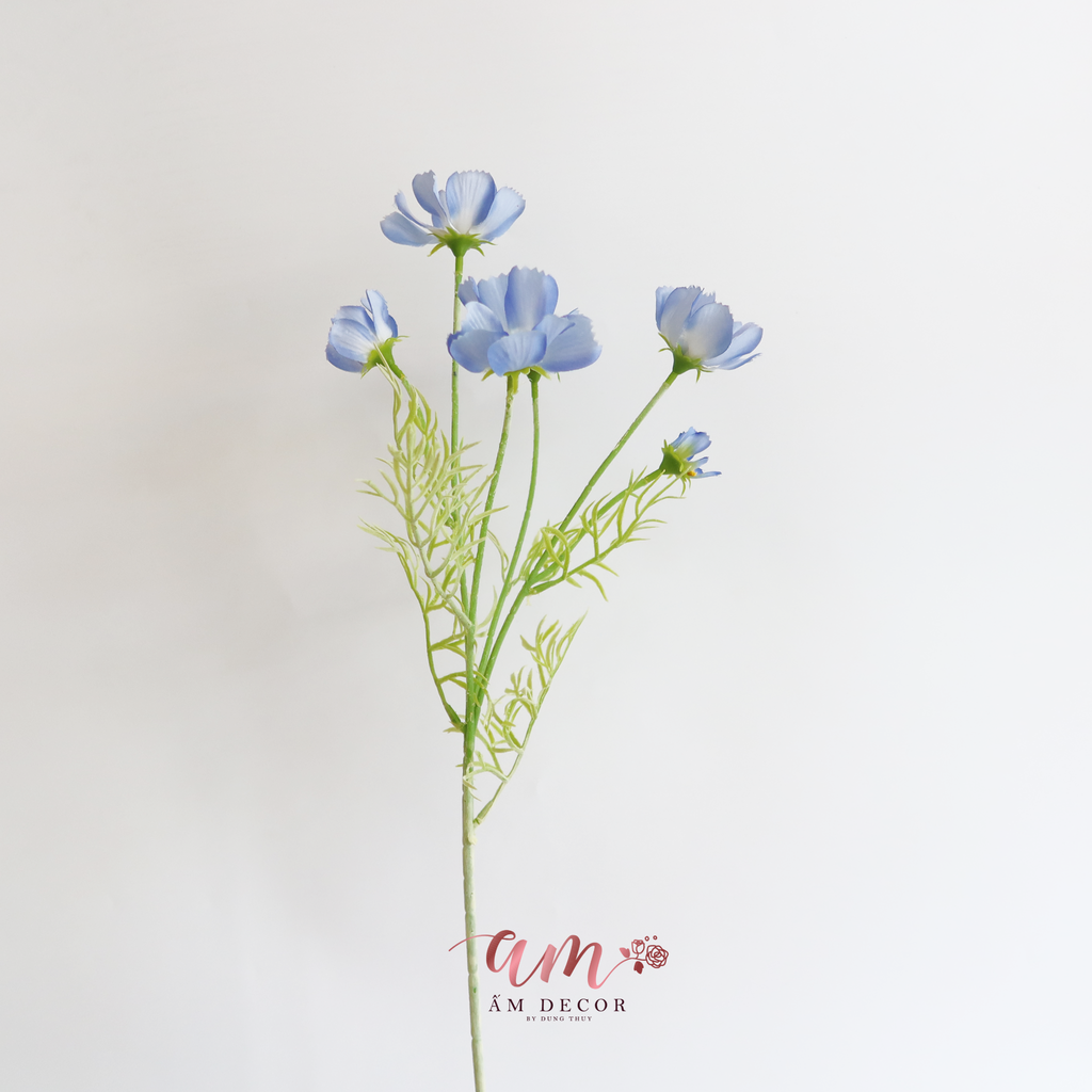 HOA CÁNH BƯỚM (Xanh CoBan)
