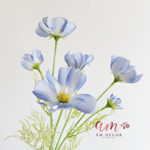  HOA CÁNH BƯỚM (Xanh CoBan) 