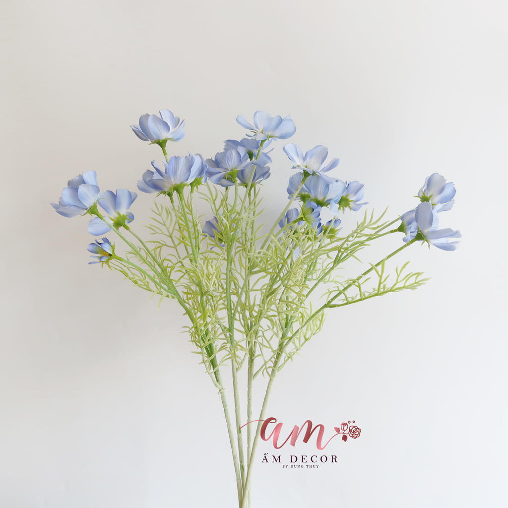 HOA CÁNH BƯỚM (Xanh CoBan)
