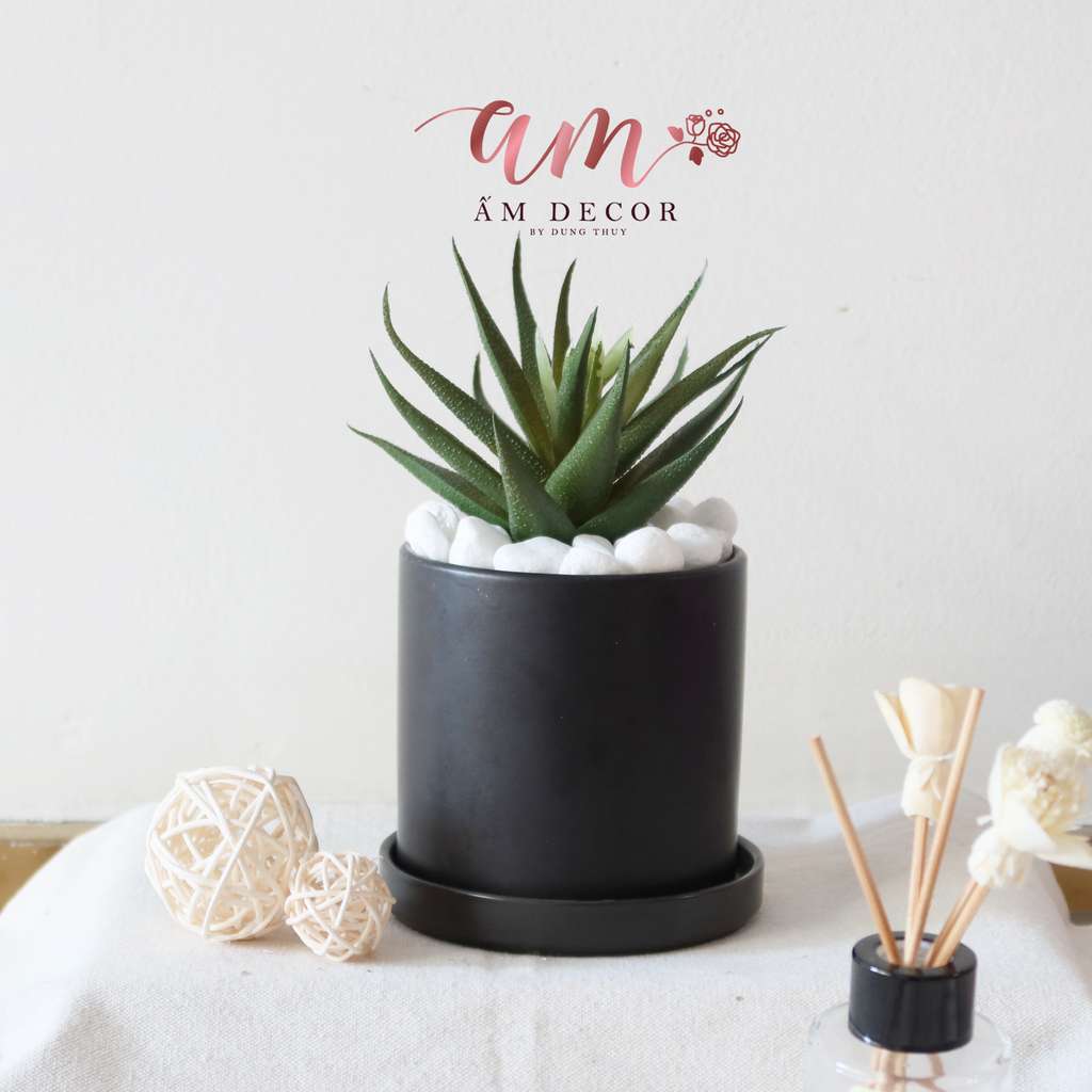 Ấm Plant House - ALOE VERA