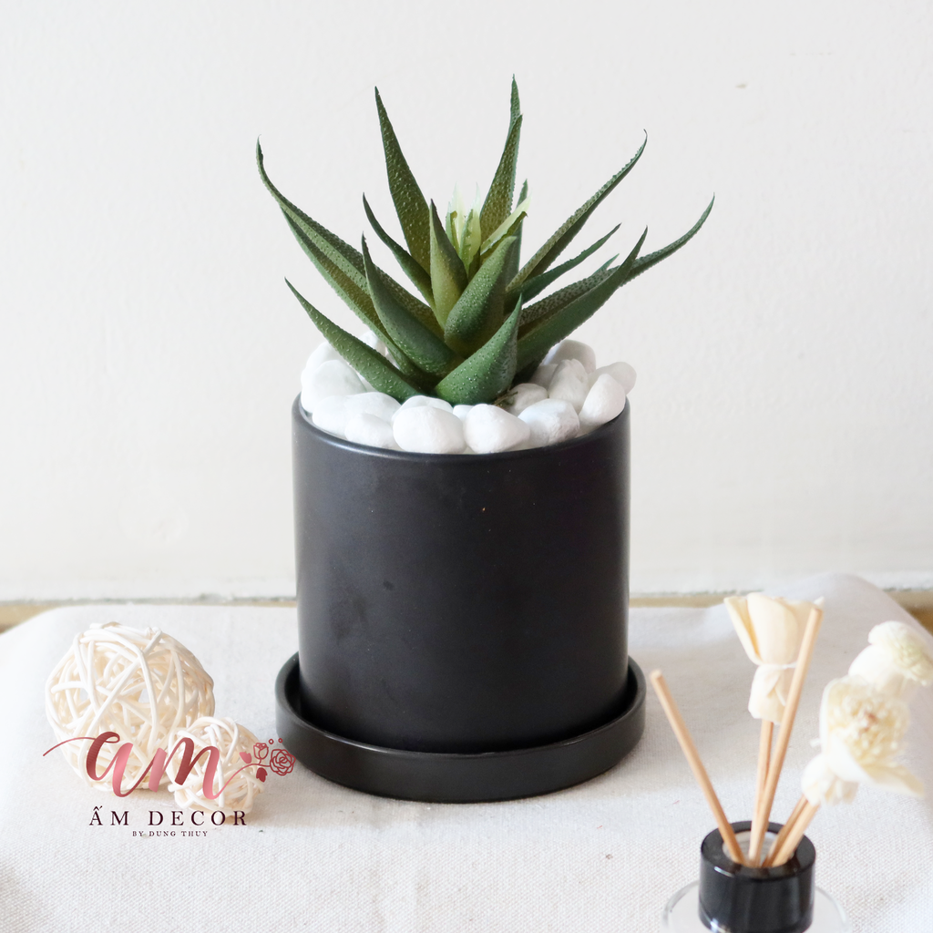 Ấm Plant House - ALOE VERA