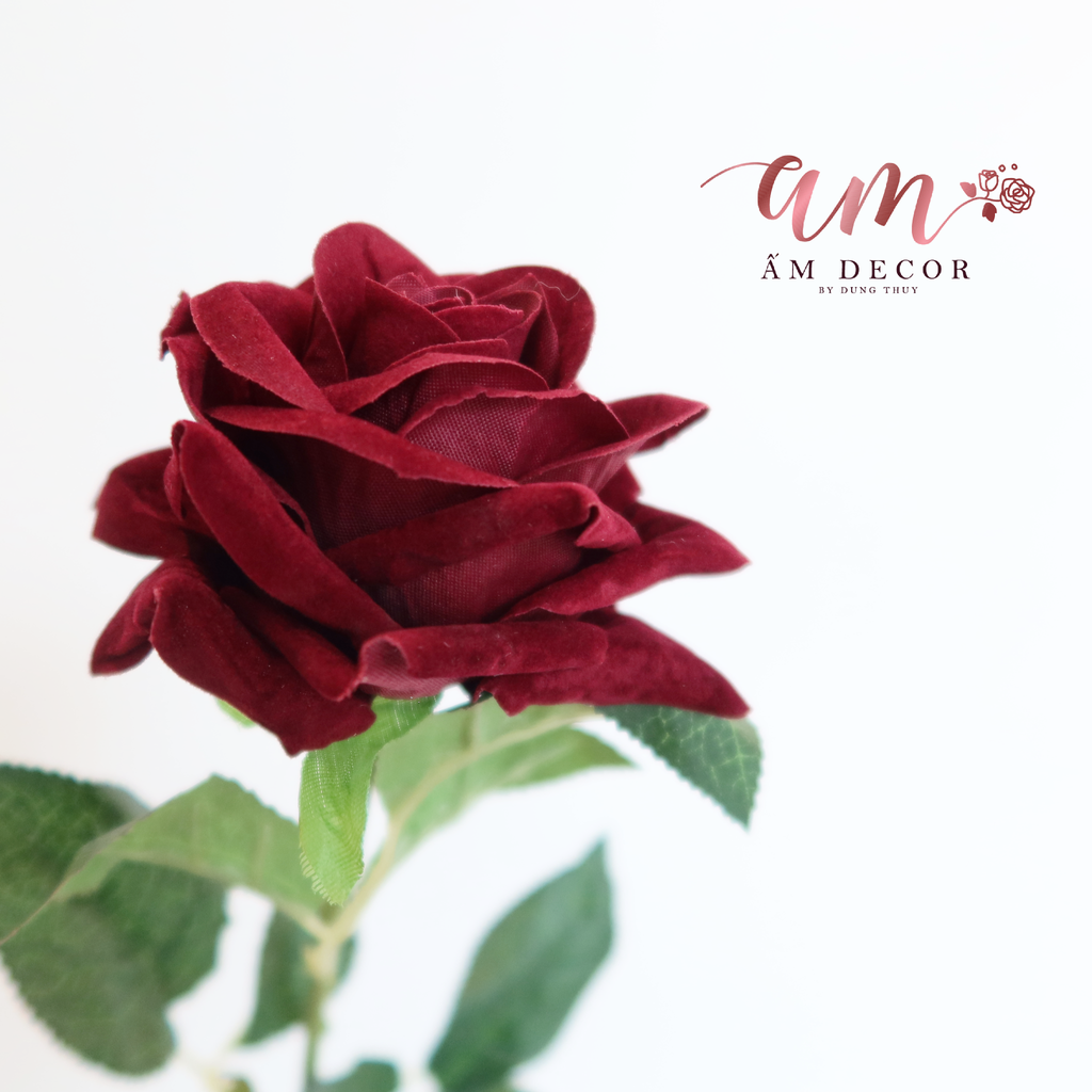 ZCÀNH HOA HỒNG PHỦ NHUNG (Đỏ Thẫm)