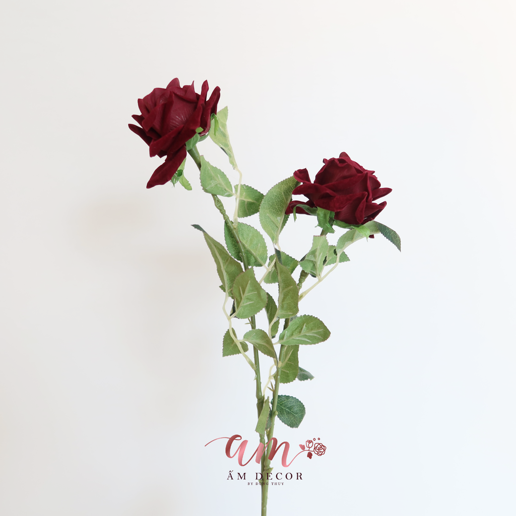 ZCÀNH HOA HỒNG PHỦ NHUNG (Đỏ Thẫm)