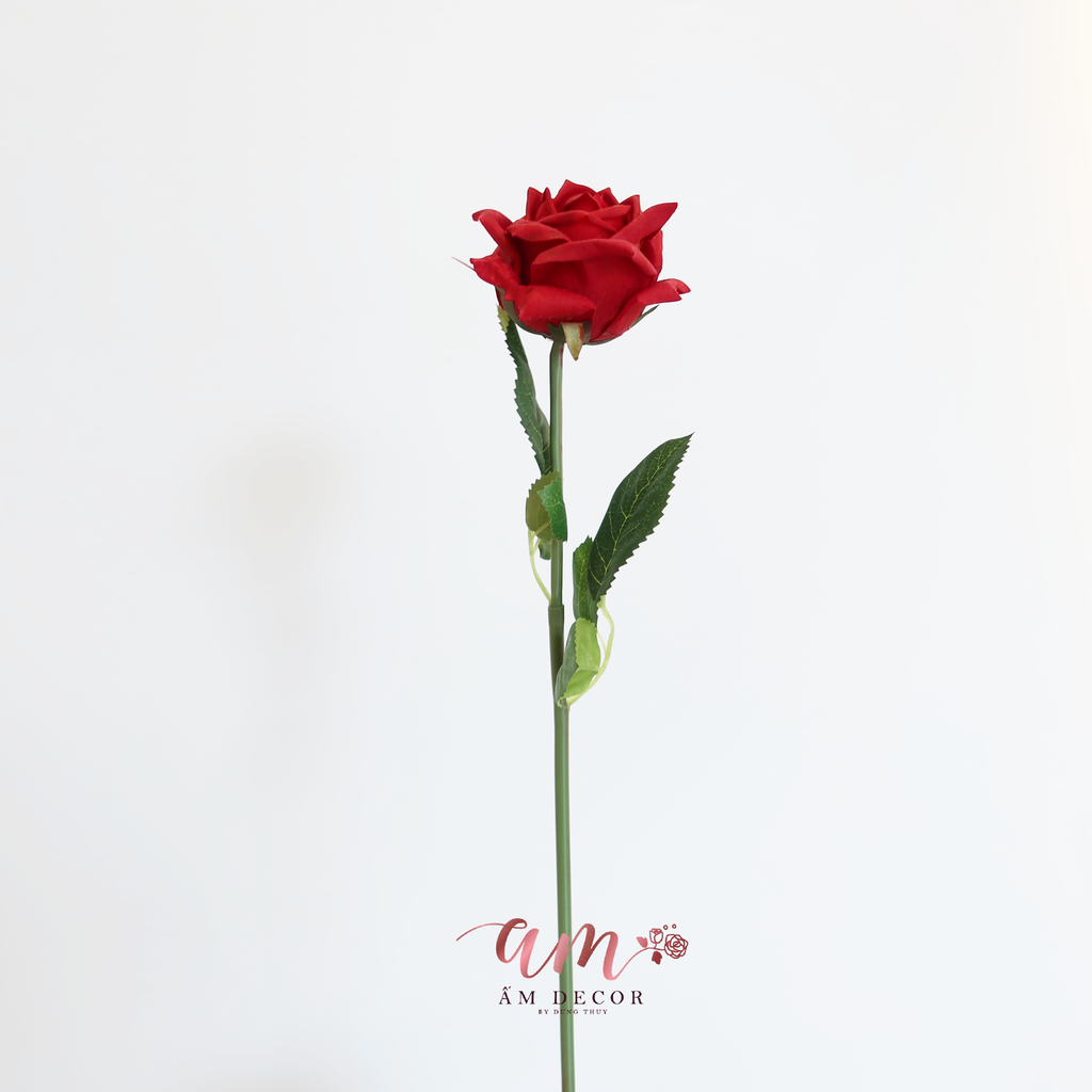 HOA HỒNG ĐỎ ẨM BÔNG NHỎ