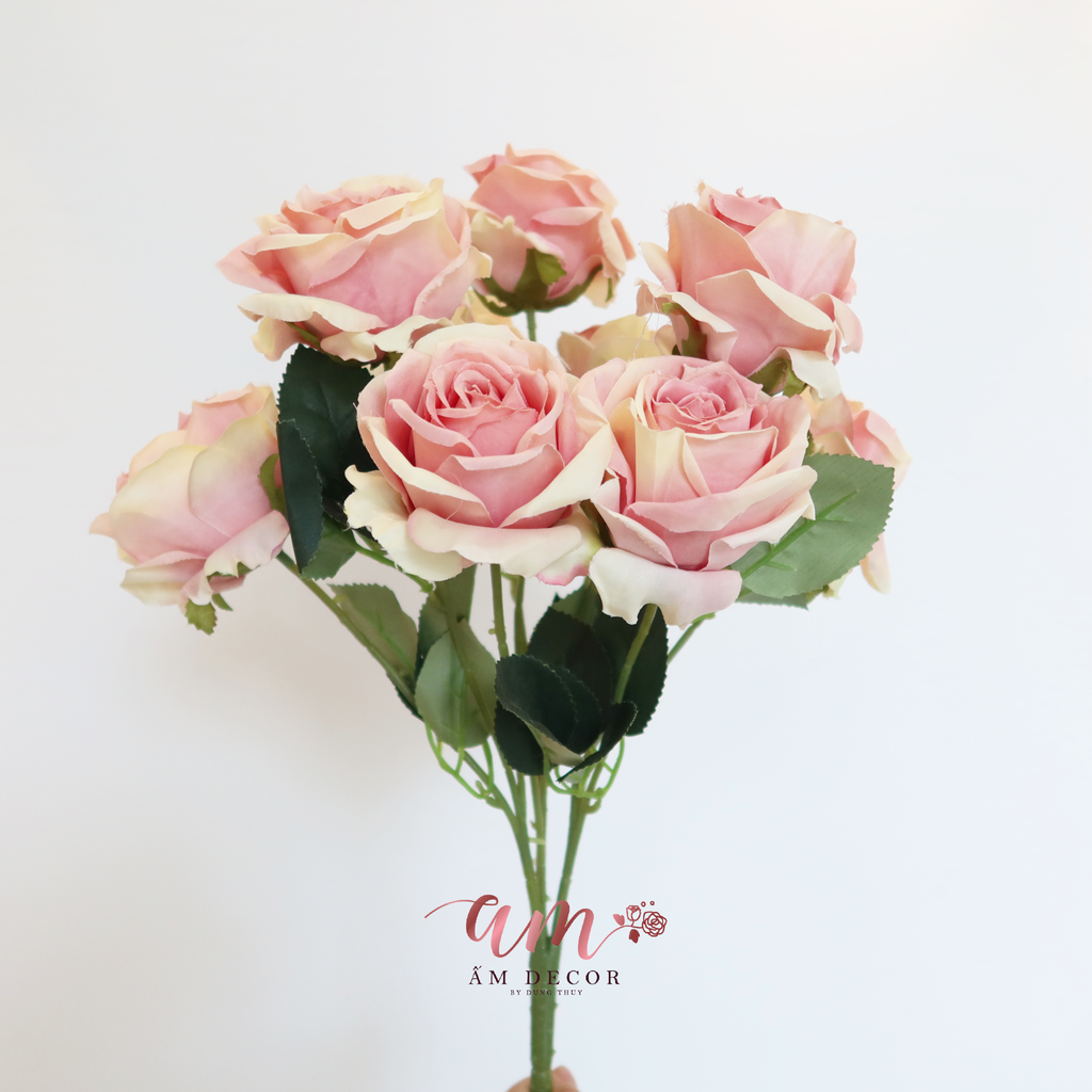 ZCHÙM HOA HỒNG CHÂU ÂU (Hồng)