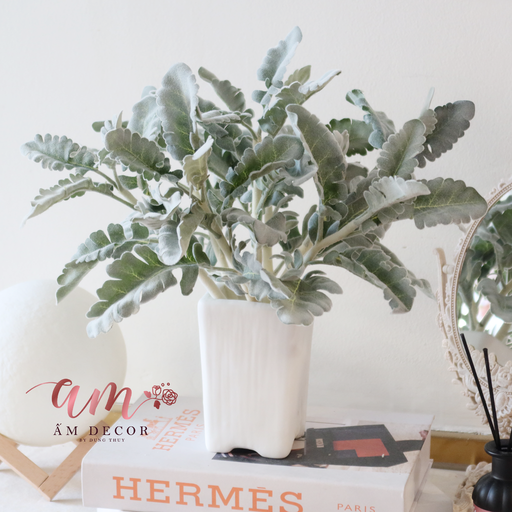 Ấm Plant House - SILVER DUST DUSTY MILLER ARTIFICIAL