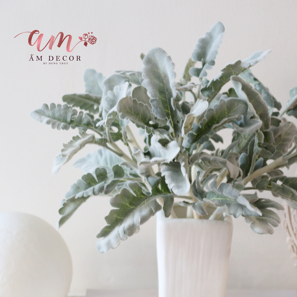 Ấm Plant House - SILVER DUST DUSTY MILLER ARTIFICIAL
